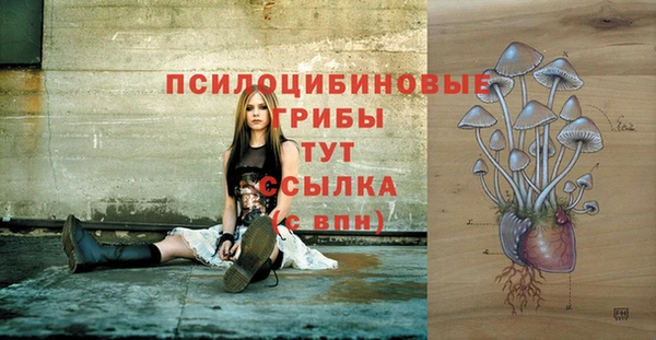 мяу мяу мука Саяногорск