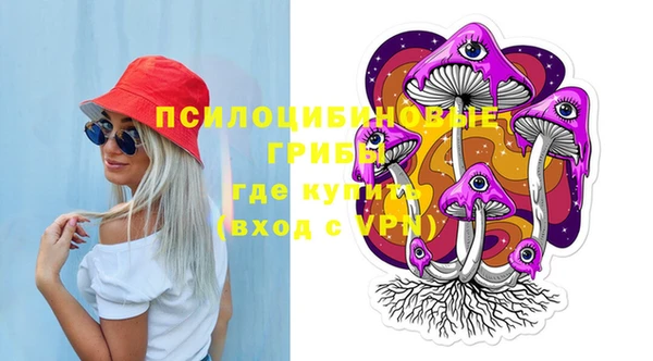 гидра Алексеевка