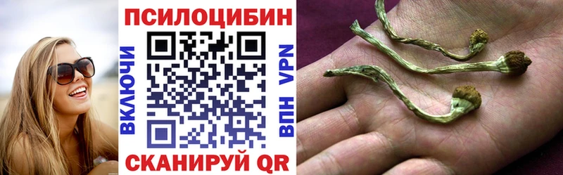 Псилоцибиновые грибы Psilocybe MEGA tor Бронницы
